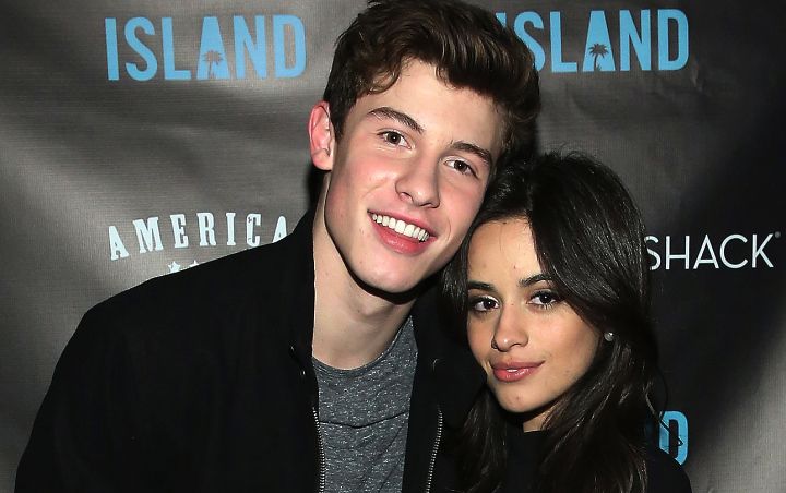 best of Cabello shawn mendes camila