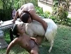 Ratman recomended goat xxx girl and