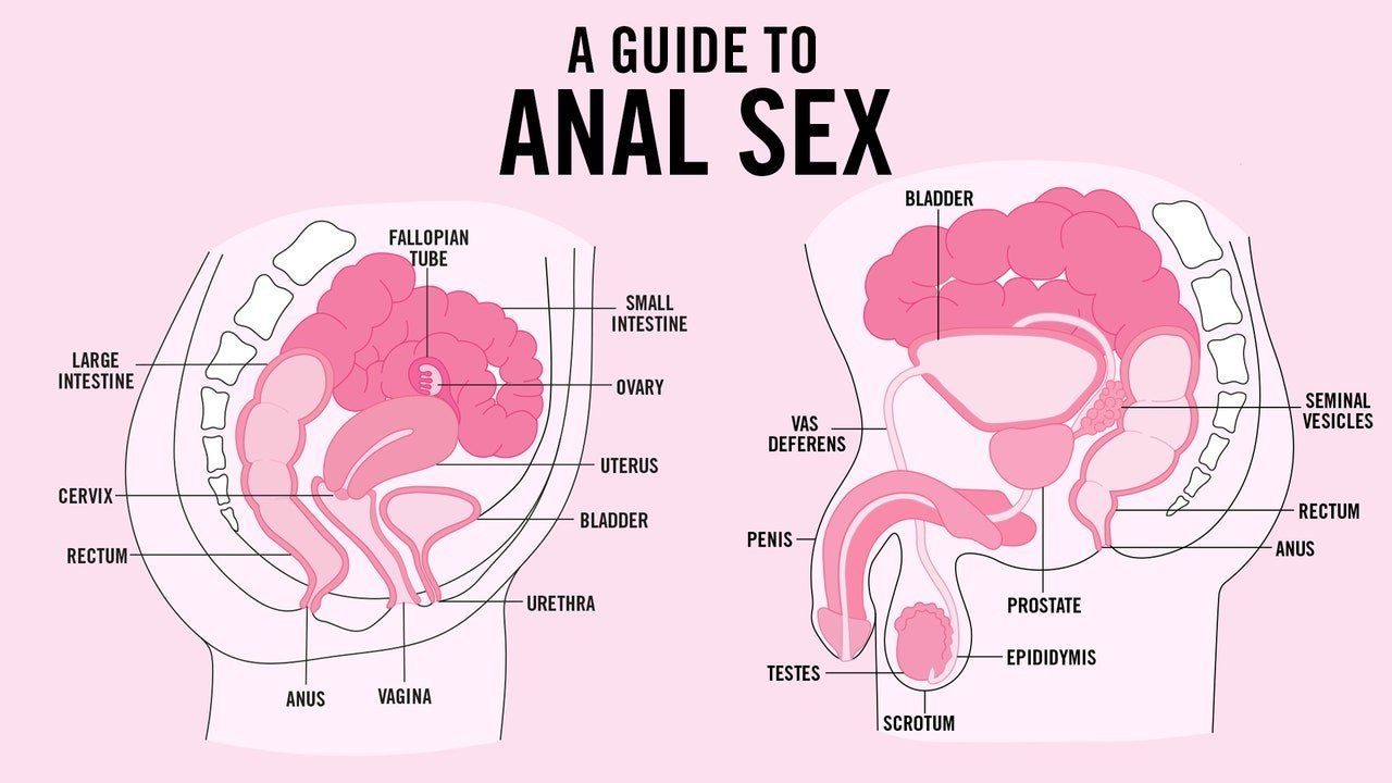 Pluto reccomend Different ways to masturbate anal