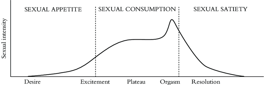 Bear B. reccomend Excitement plateau orgasm resolution