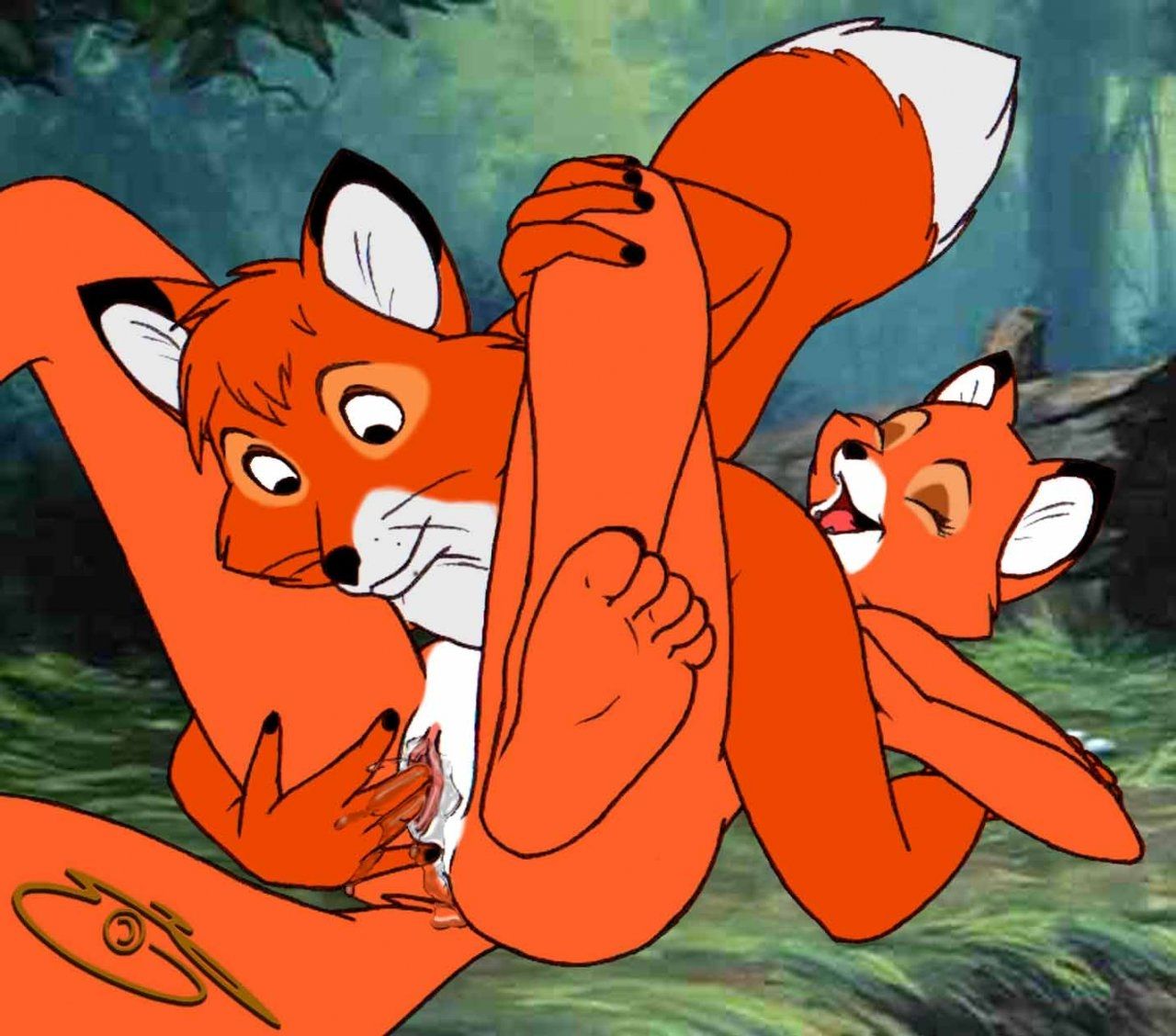Turk reccomend animated fox