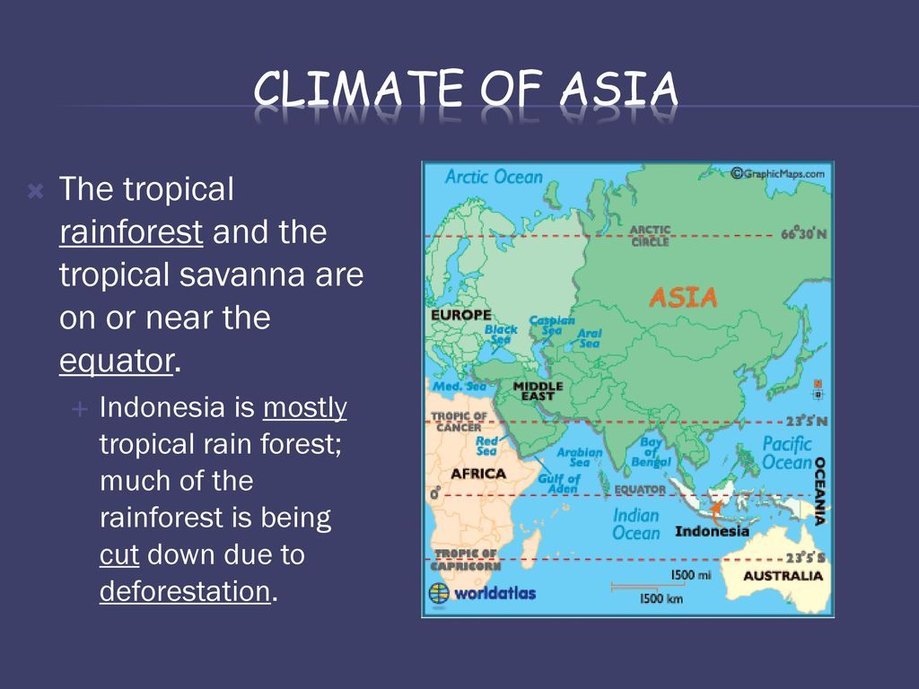 Asian rainforest climate