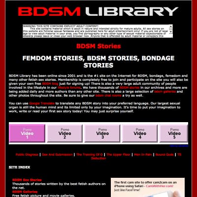 Bdsm sex stories post