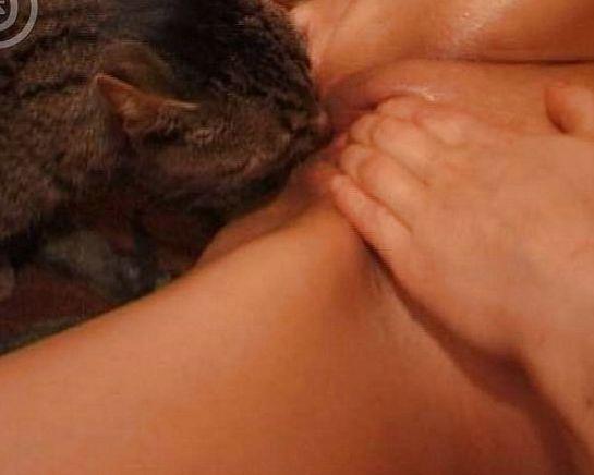 Cat licks girls pussy