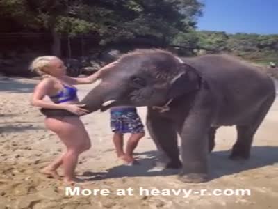 Sneak reccomend Girl fucked by elephent