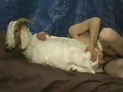 best of Goat and xxx girl