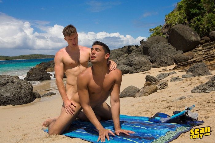 Gay male beach nude