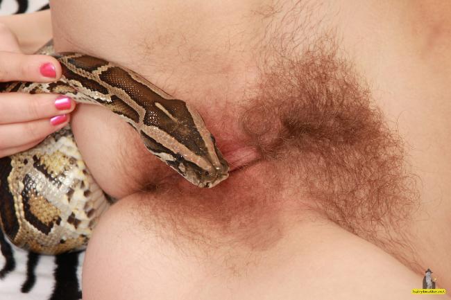 best of Sex snake