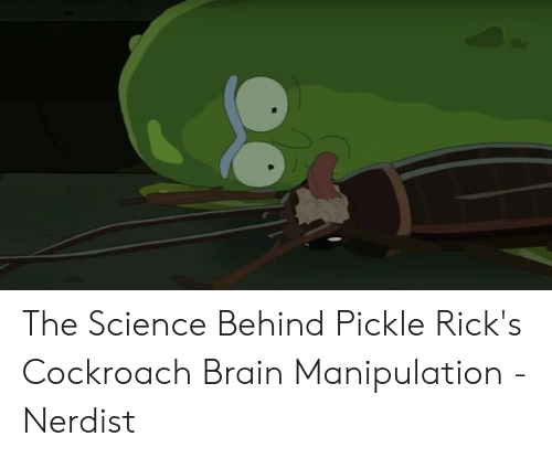 best of Fucks rats very pickle rick