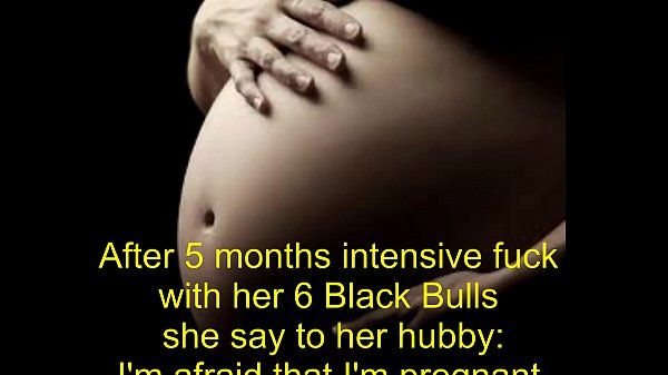 Mittens reccomend black bull pregnant wife pussy