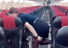 best of Attendant authentic flight pantyhose stewardess