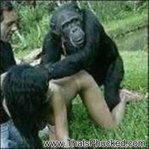 best of With pictures having sex Women chimps