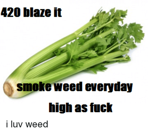 Hound D. recomended blaze meme 420 it