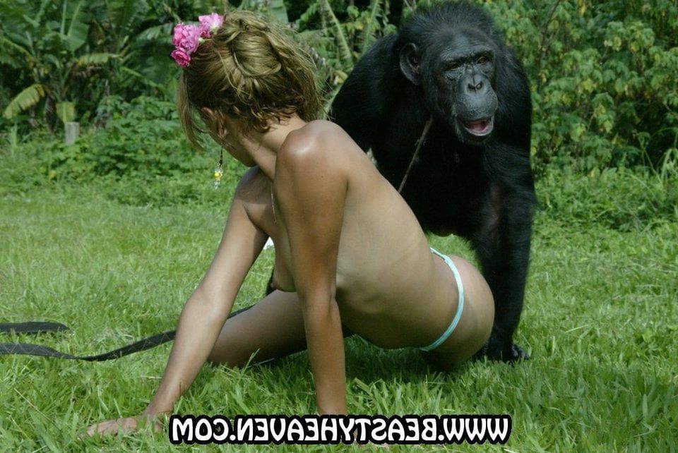 Leo reccomend pictures Women chimps having with sex