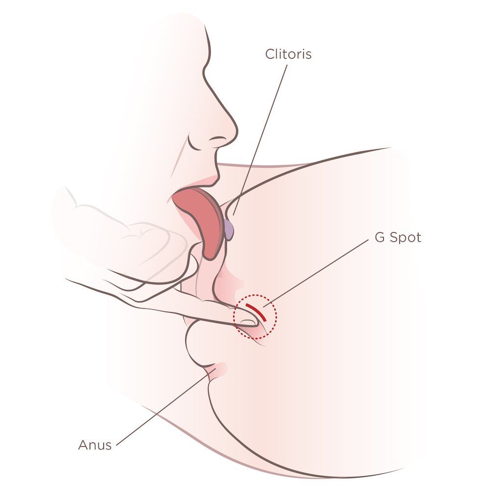 best of Gently Performing cunnilingus tongue make clitoris