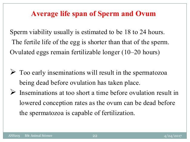 Milan reccomend Sperm and lifespan in male
